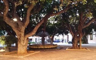 Dal 12 luglio al 1° settembre, sospensione dei rientri pomeridiani 